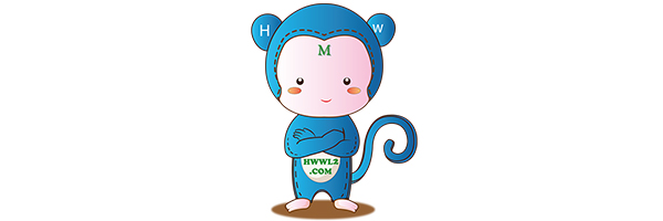 猴王网络